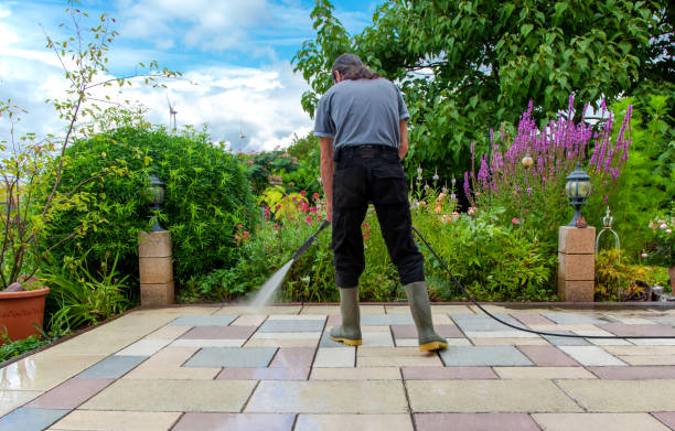 Best Animal Enclosure Cleaning  in Crossville, AL